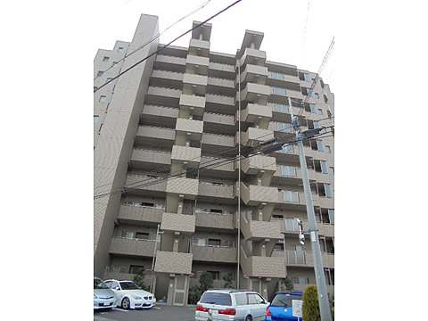 現地外観写真 外観