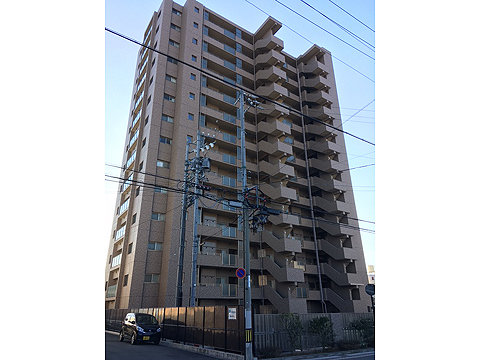 現地外観写真 外観