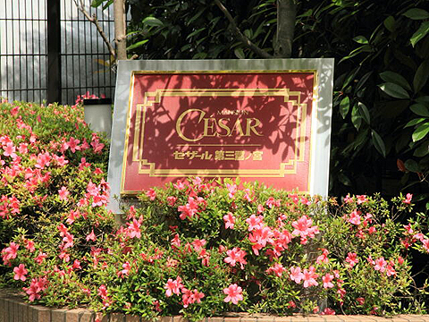 その他共用部　写真1