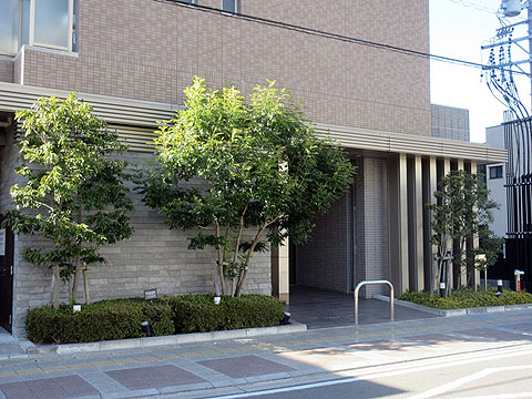 エントランス　エントランス