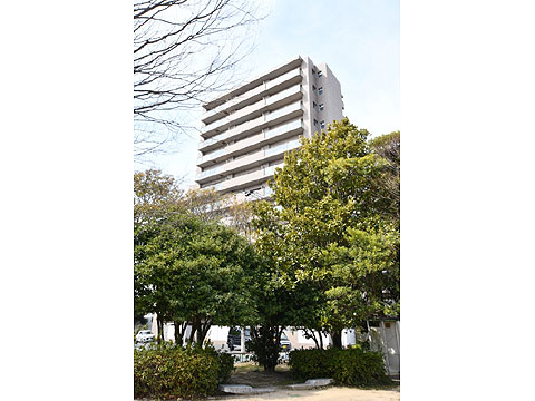 現地外観写真 建物外観