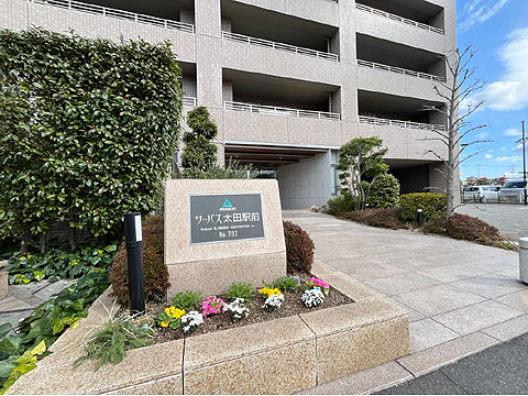 現地外観写真 外観