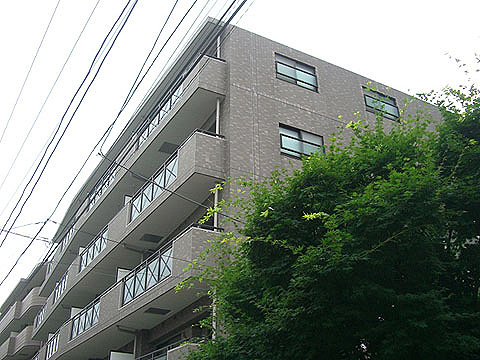 現地外観写真 外観