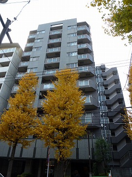 その他共用部 外観7