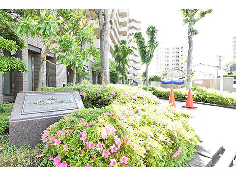 現地外観写真　アプローチ