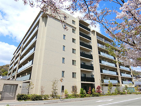 現地外観写真 CIMG5838