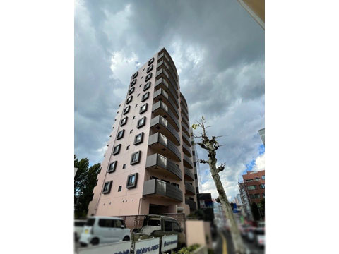 現地外観写真 外観