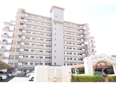 現地外観写真 外観