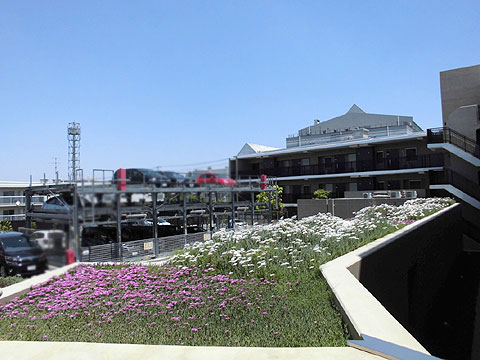 その他共用部 水盤