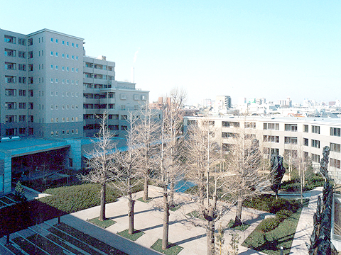 その他共用部 中庭1