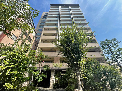 現地外観写真 外観1