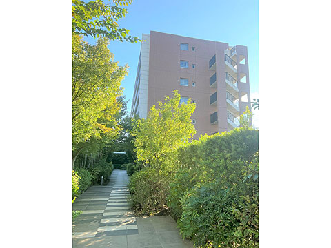 現地外観写真 外観