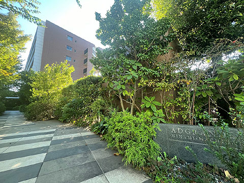 現地外観写真 外観