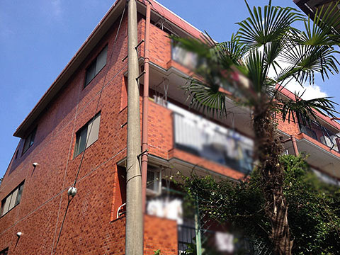 その他共用部 外観3