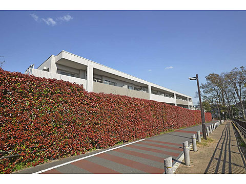 現地外観写真 外観