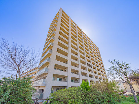 現地外観写真　グランイーグル多摩川スカイフロント806 (3