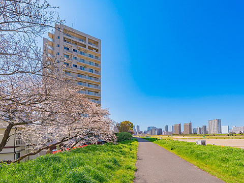 現地外観写真　グランイーグル多摩川スカイフロント806 (6