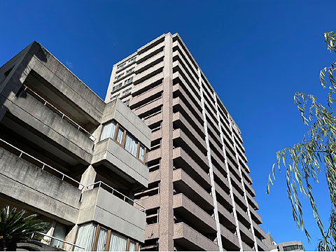 現地外観写真 外観