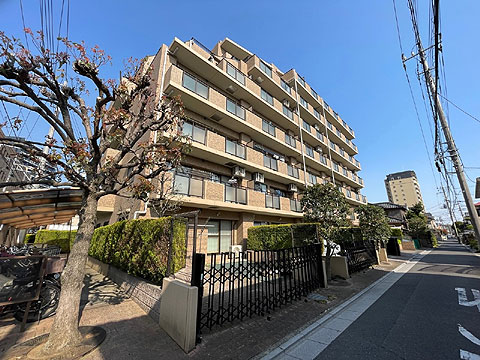 現地外観写真 マンション外観