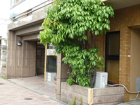 その他共用部　エントランス1