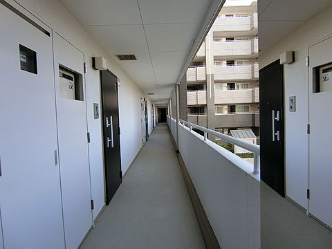 その他共用部 共用廊下もきれいに管理されています。