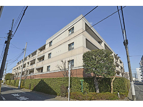 現地外観写真 外観