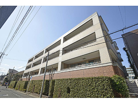 現地外観写真 外観