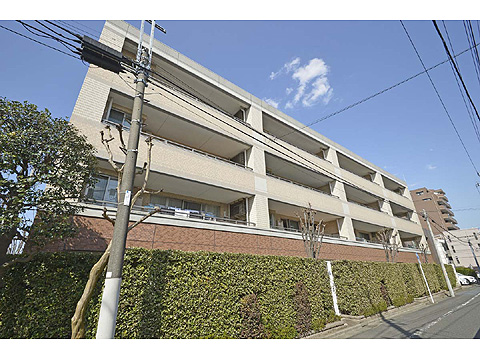 現地外観写真 外観