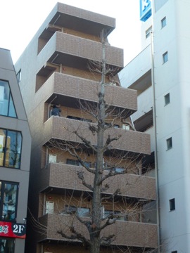 その他共用部　外観2