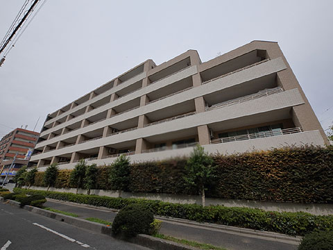 現地外観写真 外観5