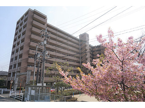 現地外観写真　外観4