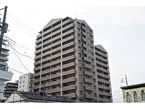 現地外観写真 外観