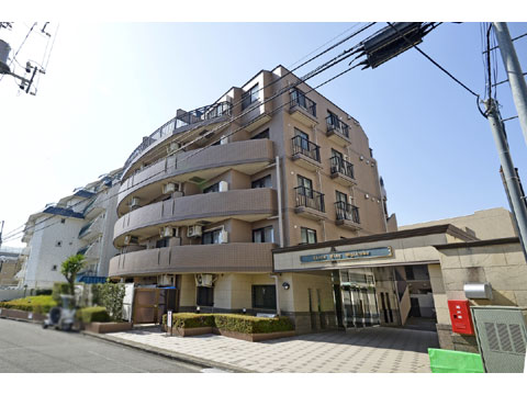 現地外観写真 外観