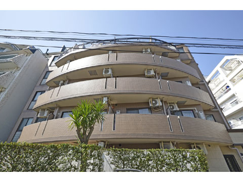 現地外観写真 外観