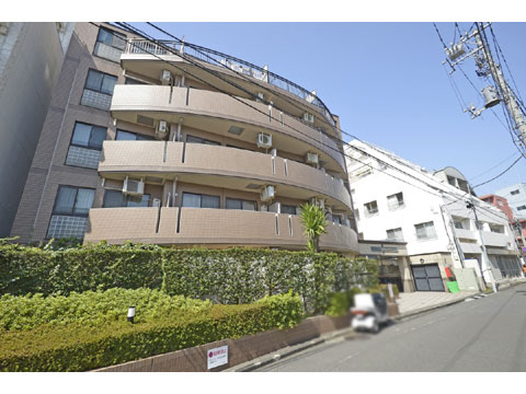 現地外観写真 外観