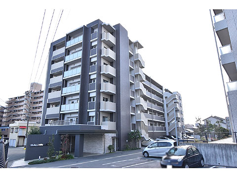 現地外観写真 外観