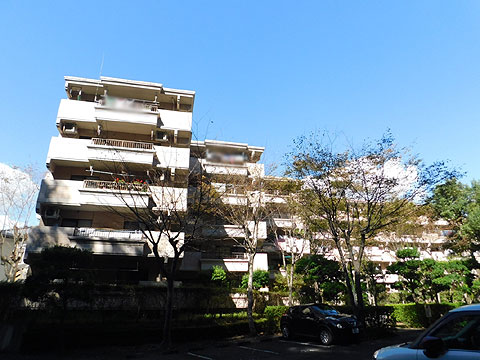 現地外観写真 建物外観