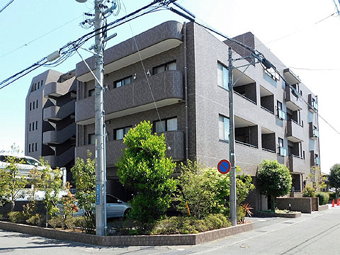 現地外観写真 建物外観