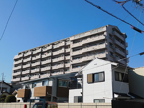 現地外観写真 建物外観