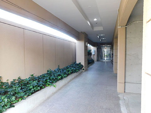 エントランス エントランスアプローチ