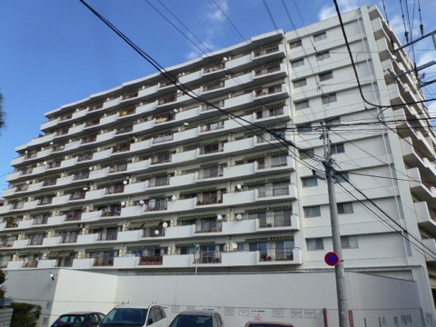 その他共用部 外観4