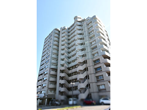 現地外観写真　現地外観（北側より撮影）