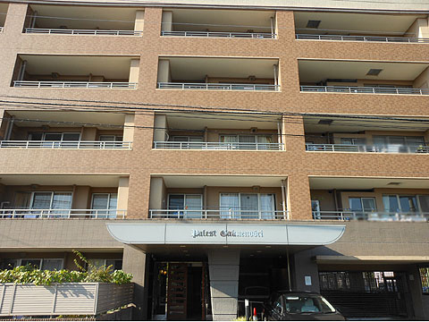 現地外観写真 外観