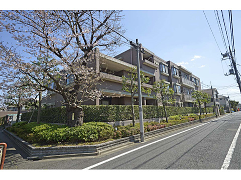 現地外観写真 外観