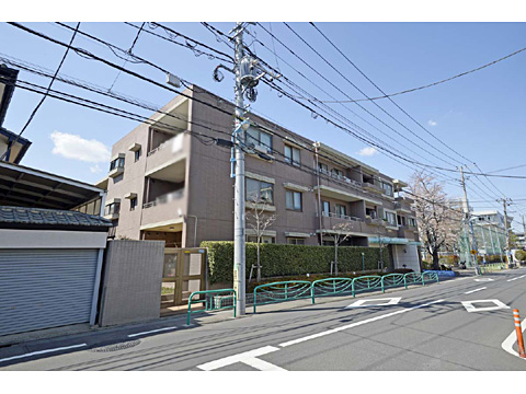 現地外観写真 外観