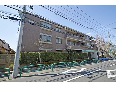 現地外観写真 外観