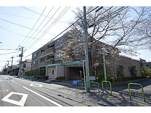 現地外観写真 外観