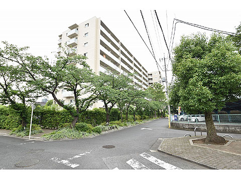 現地外観写真 マンション敷地内は桜の木に囲まれています