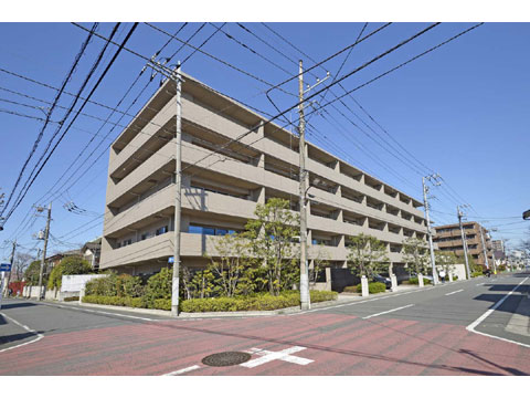 現地外観写真 外観