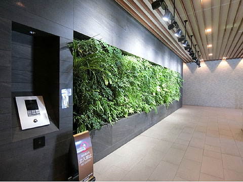 エントランス CIMG0731